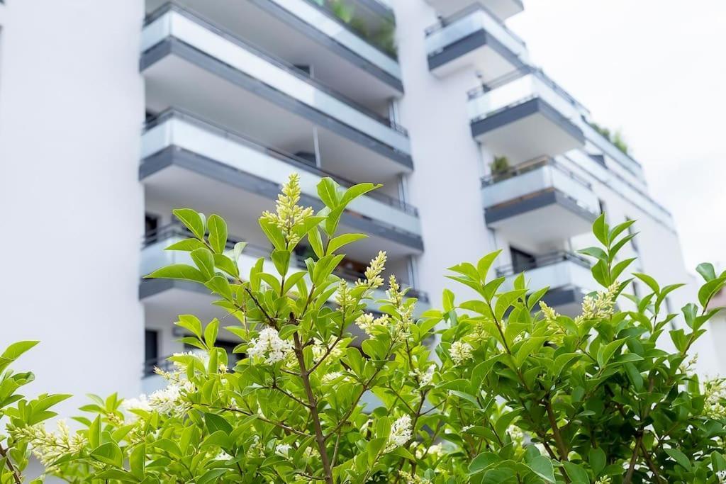 Le Nid Des Romains - T2 Neuf - Balcon - Vue Annecy Eksteriør bilde